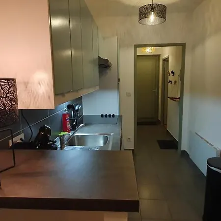 Les Balcons De - 1er Etage - Certifie 3 Etoiles Au Coeur De La Rue Pietonne דירה *