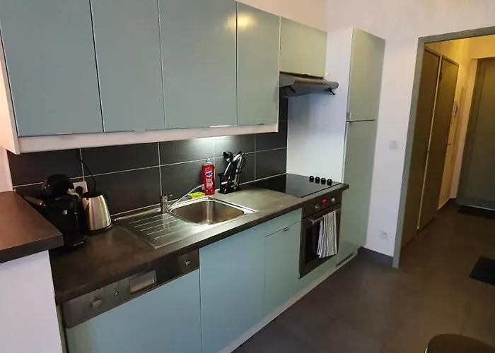 Daire Les Balcons De - 1er Etage - Certifie 3 Etoiles Au Coeur De La Rue Pietonne